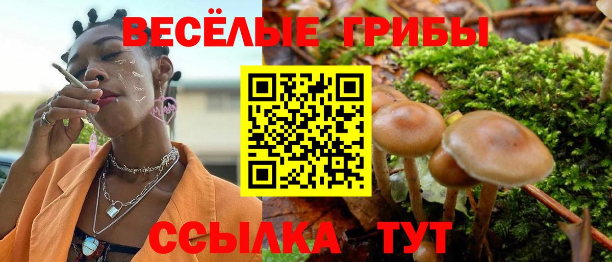 Каспийск  Псилоцибиновые грибы GOLDEN TEACHER  Псилоцибиновые грибы Cubensis  Вход с VPN 