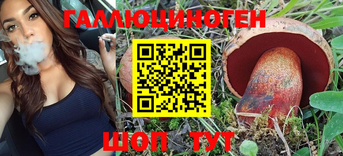 Галлюциногенные грибы Psilocybe Каспийск